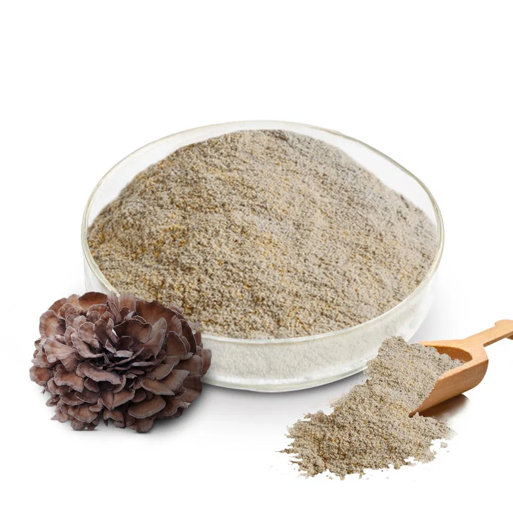 High Quality Dried Maitake Mushroom Extract Powder Medicinal Mushroom Plant Extract