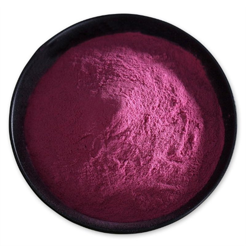 World Well-Being Plant Extract Anti-Oxidation 1%-25% Anthocyanidins 1-36% Anthocyanosides 1-60% PAC Black Currant Extract/Black Currant Fruit Powder