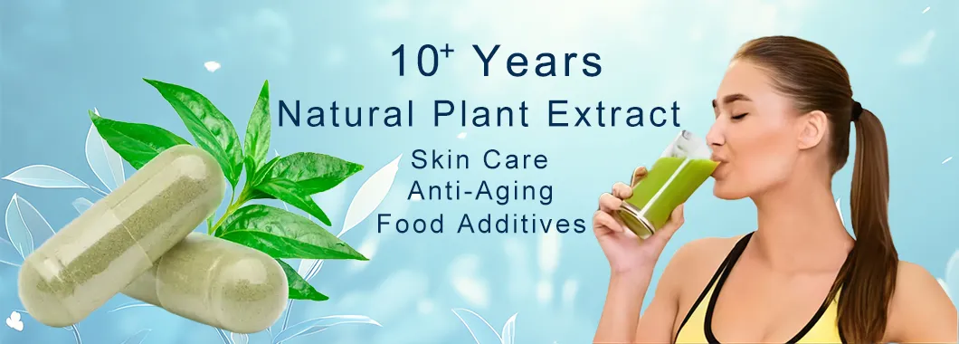 Ginseng Extract Banner