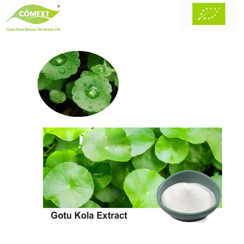 Comext Plant Extract Herbal Extract Cosmetics Ingredients Gotu Kola Asiatic Acid Centella Asiatica Extract Triterpenoid Glycosides Powder
