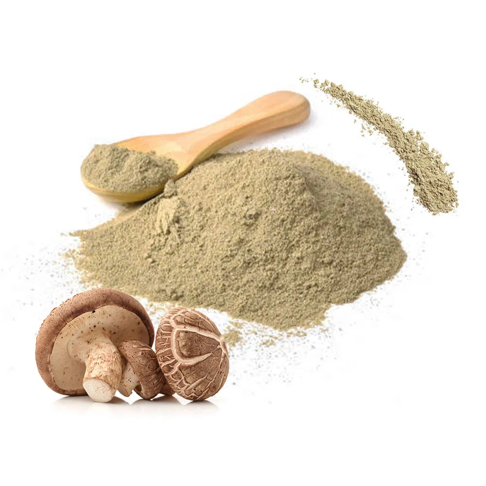 Best Selling Superior Qualityfood Grade Extraction Shitake Mushroom Extract