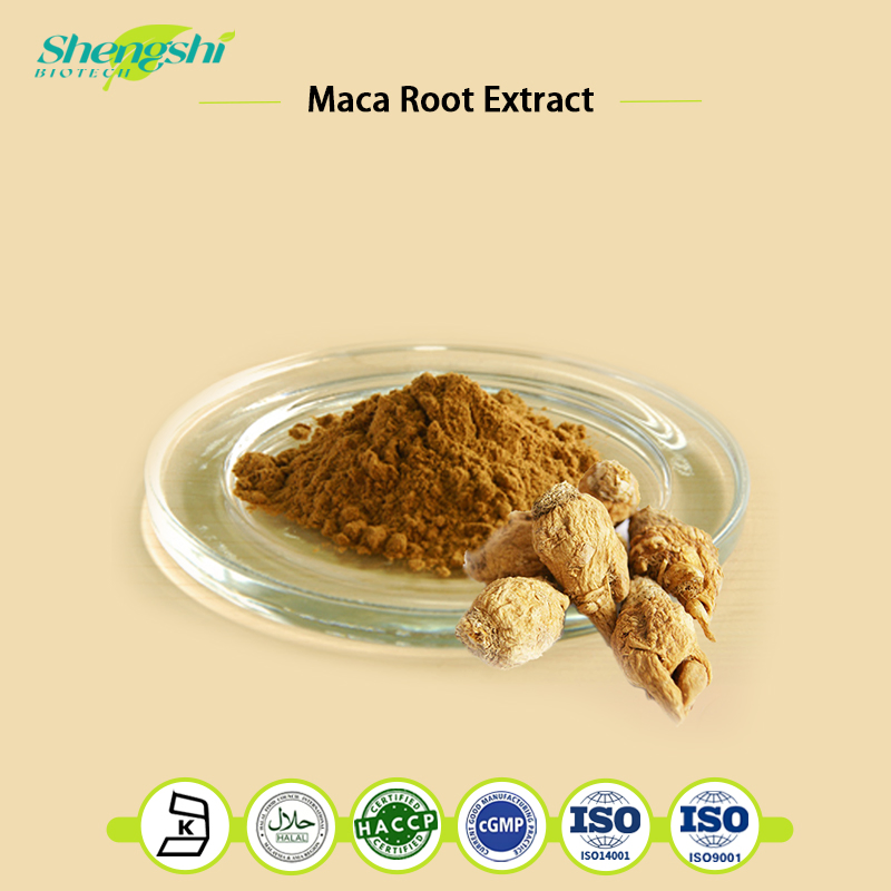 Factory Supply Maca Root Extract Powder Lepidium Meyenii Extract, Peruvian Ginseng Extract OEM ODM CAS 1216611-34-9 Manufacturer