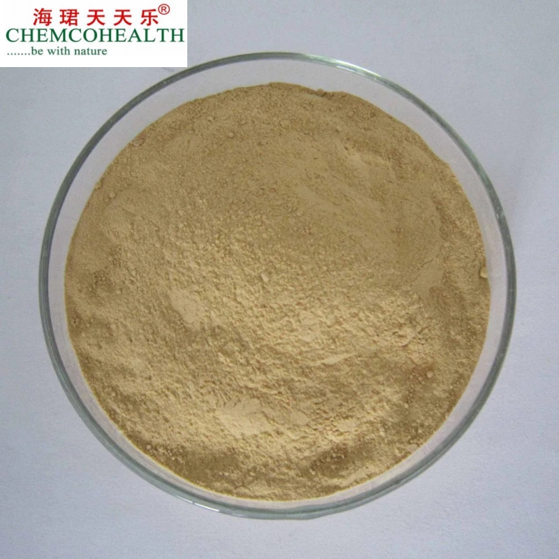 100% Natural Herbal Extracts with Various Concentrations of Polyphenols Sweet Tea Extract