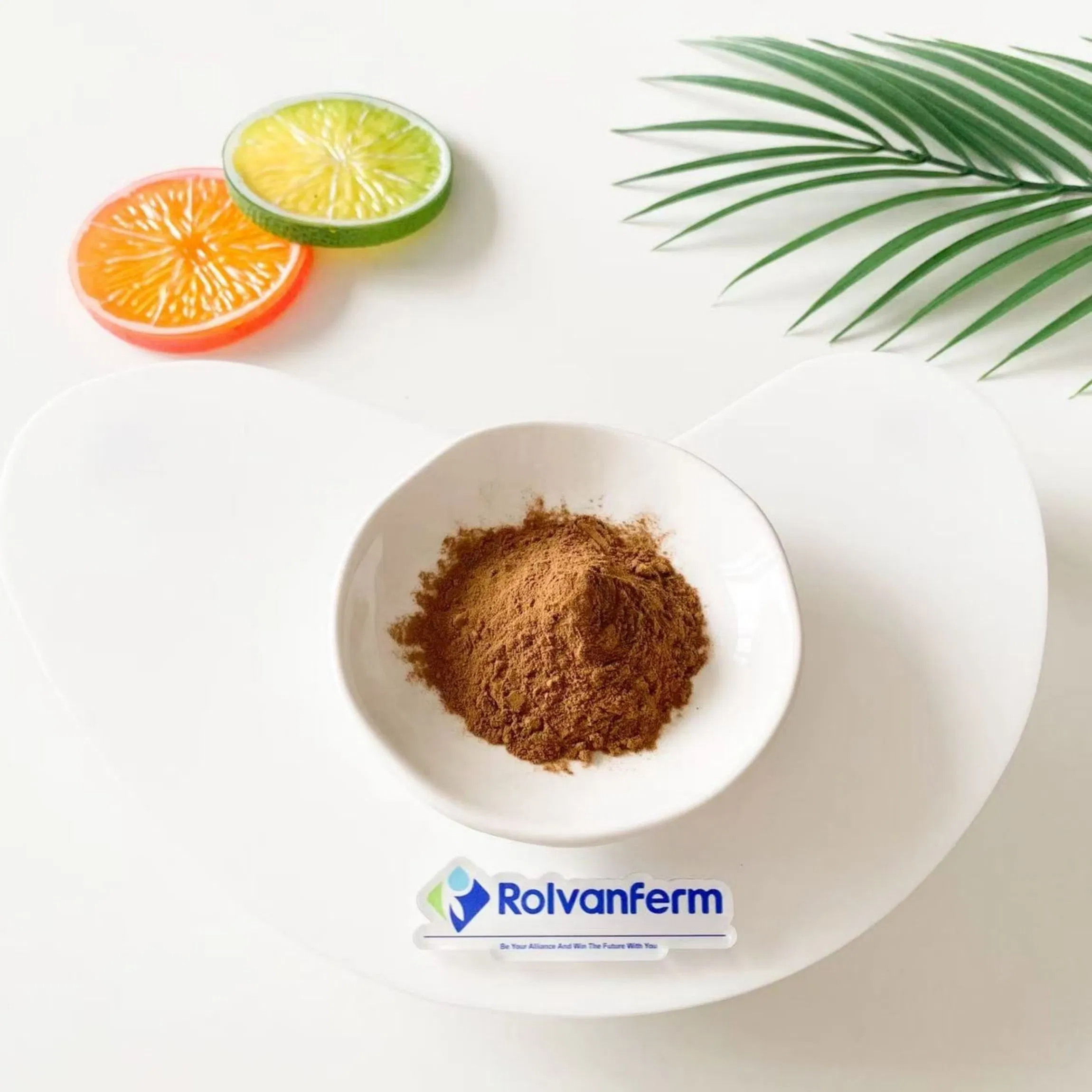 Sempervivum Tectorum Extract Natural Houseleek Plant Extract for Cosmetic, Skincare and Herbal Wellness Applications