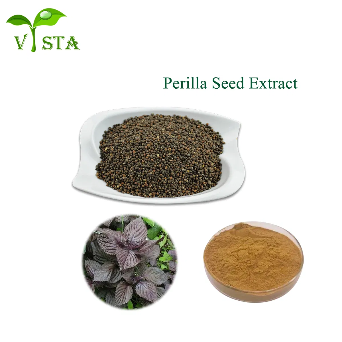 100% Natural Plant Extract Food Grade Perilla Seed Powder Purple Perilla Seed Extract