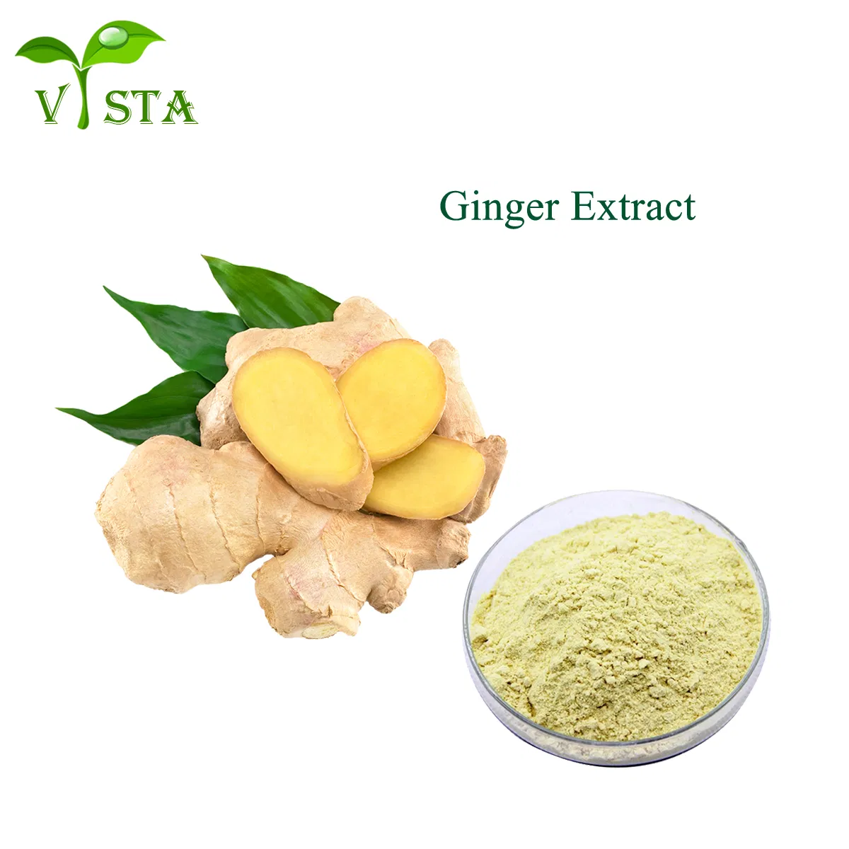 Factory Supply Plant Extract Ginger Root Extract Gingerol Powder 5% CAS No. 23513-14-6
