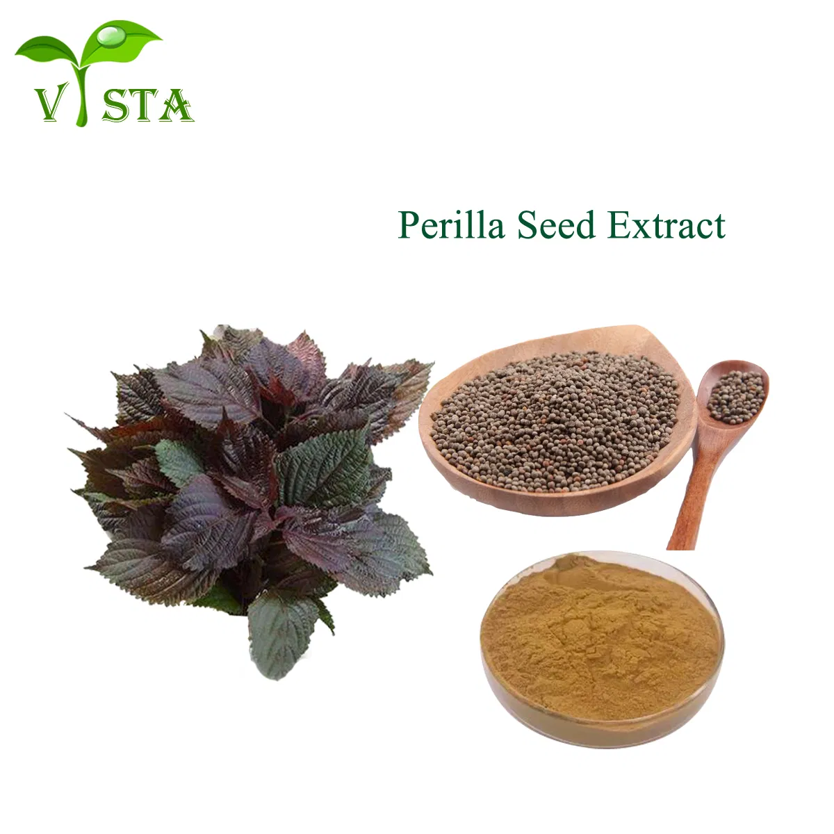 100% Natural Plant Extract Food Grade Perilla Seed Powder Purple Perilla Seed Extract