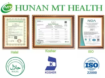 Natural GMO Free Herbal Supplement Ingredient Dietary Supplement Tea Extract Yerba Mate Extract