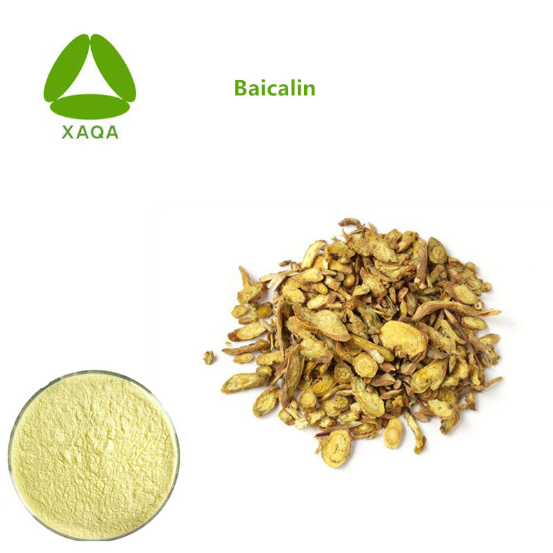 Natural Baicalin Supplement Pure 98% Baicalin Powder