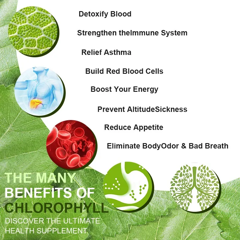 Chlorophyll Drops Product View 1