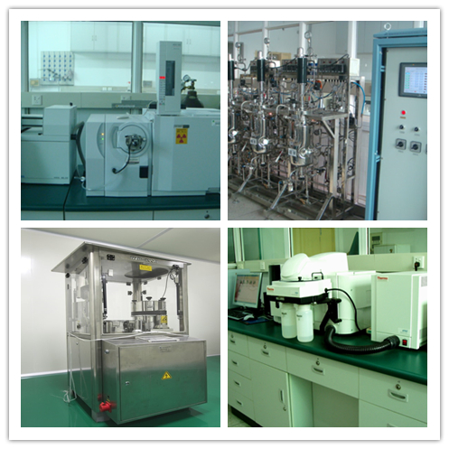 Chinese New Harvest Hawthorn Fruit Extract 20% Flavonoids