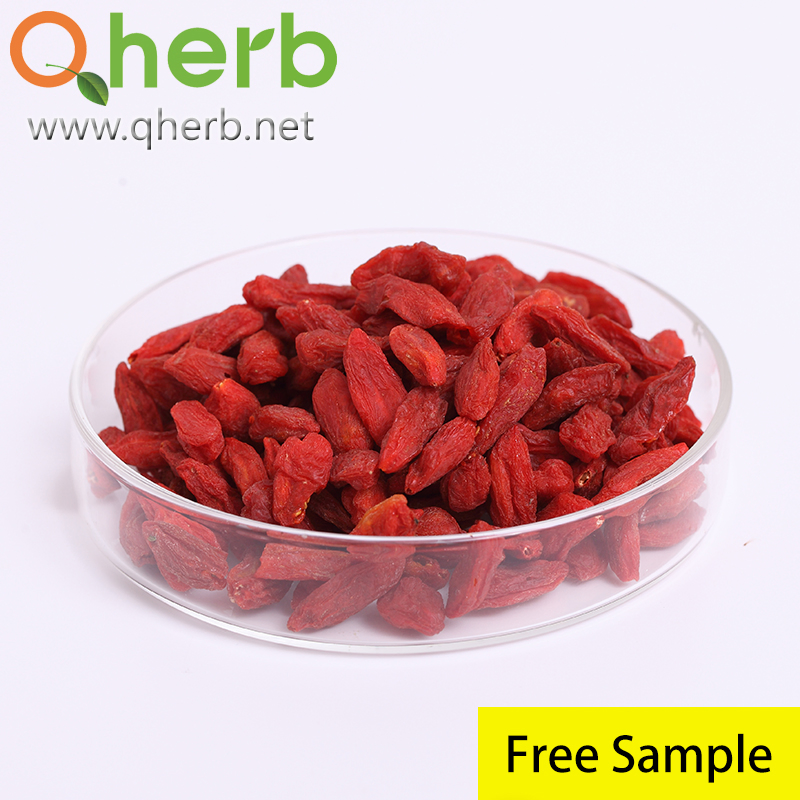Fruit Extract Natural Goji Berry Extract