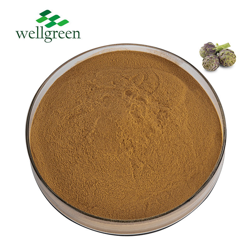 Free Sample Natural Jerusalem Leaf Plant 10: 1 2.5% 5% Cynarine Multi Supply Artichoke Extract Powder