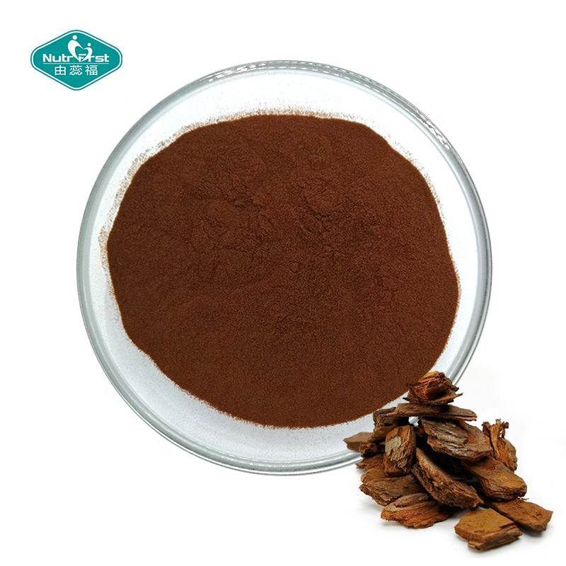 Factory Supply Plant Extracts 95% Pinus Massoniana Lamb OPC 95% Anthocyanidin Powder Pine Bark Extract