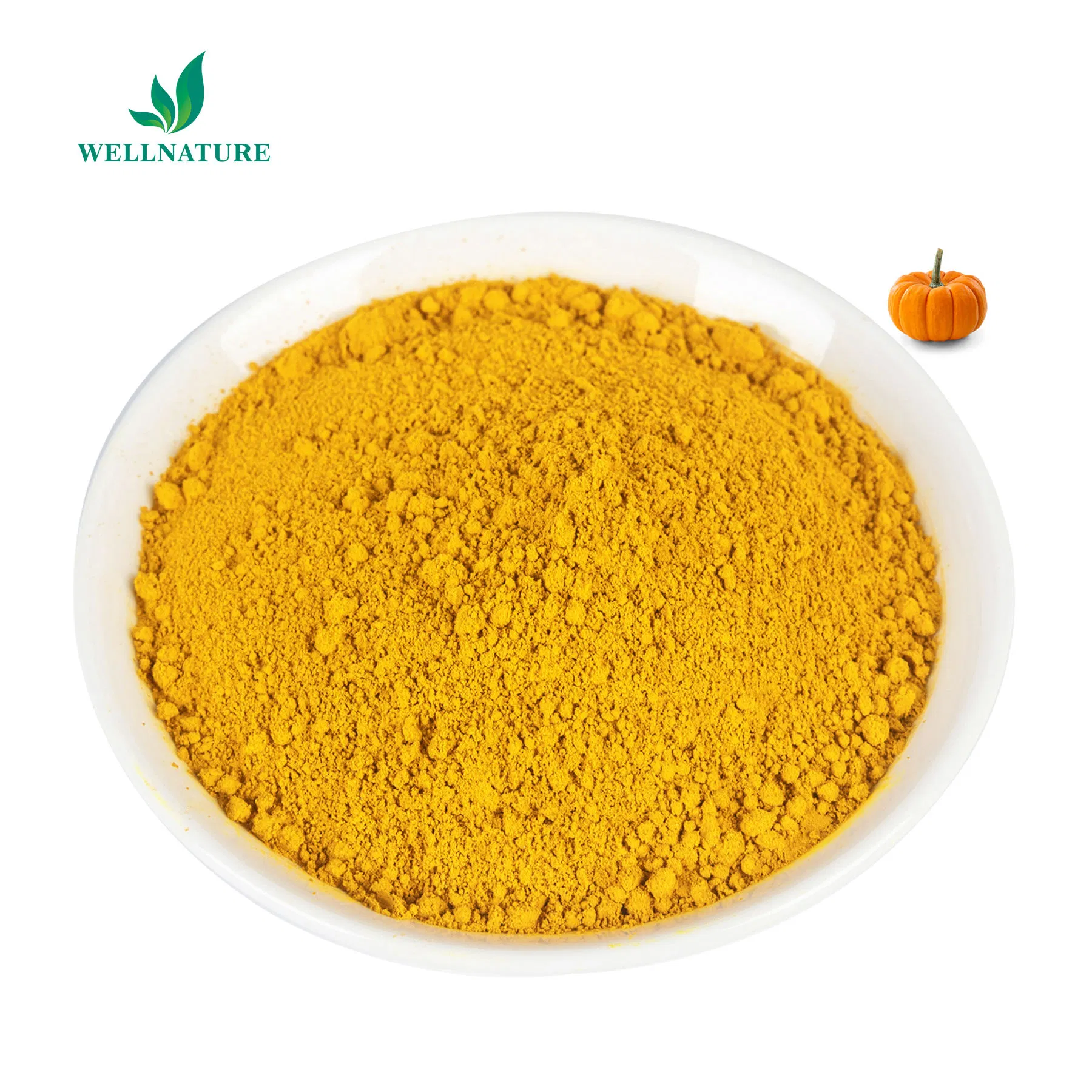 Wholesale Bulk Natural Plant Extract Supplement Pumpkin Extract Pumpkin Powder