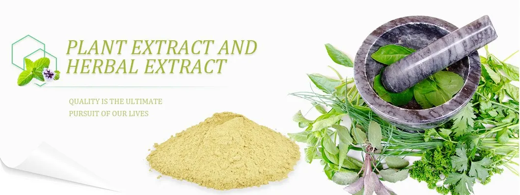 White Willow Bark Extract Powder