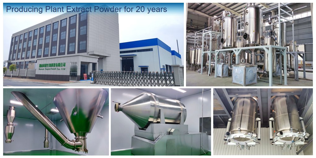 Pure Organic Factory Direct Piper Longum Extract Plant