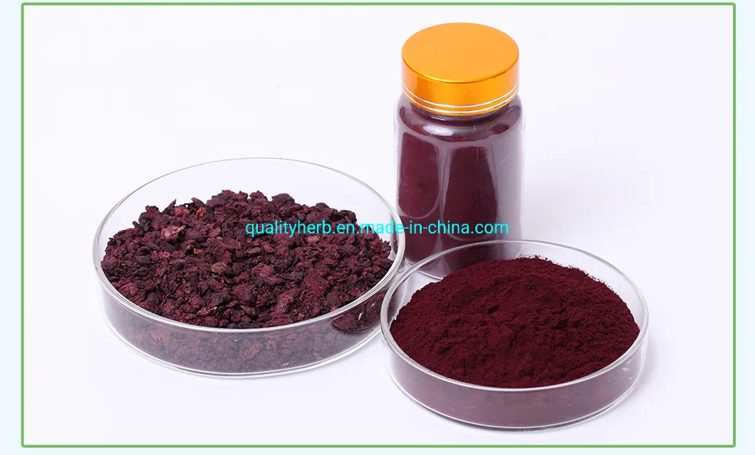 Bilberry Extract Image 7