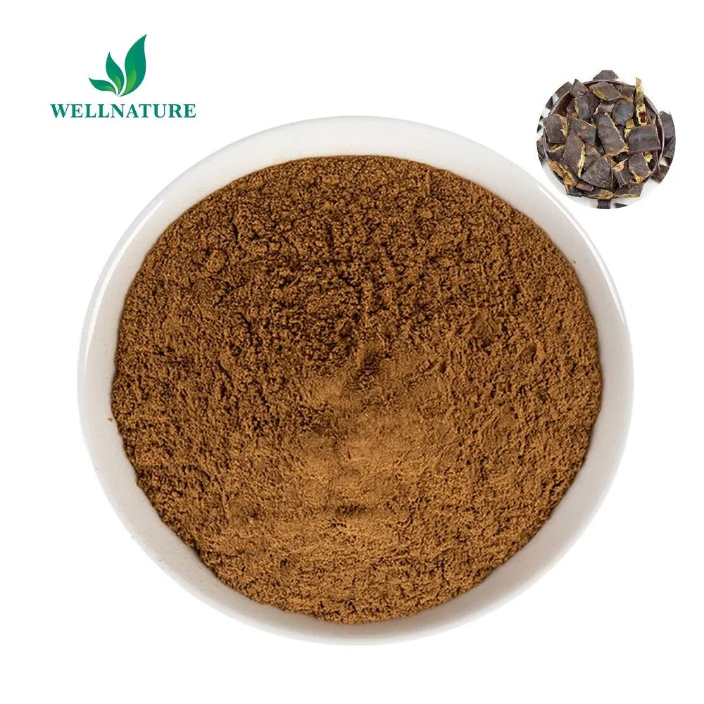 Hot Selling Organic Sapponaria Plant Extract 10: 1 Quillaja Saponaria Extract Powder