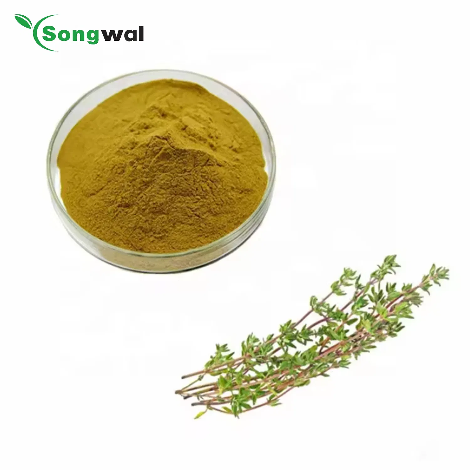 CE Food Additives Manufacturer High Quality 10: 1 Thyme Leaf Thymus Extract Powder
