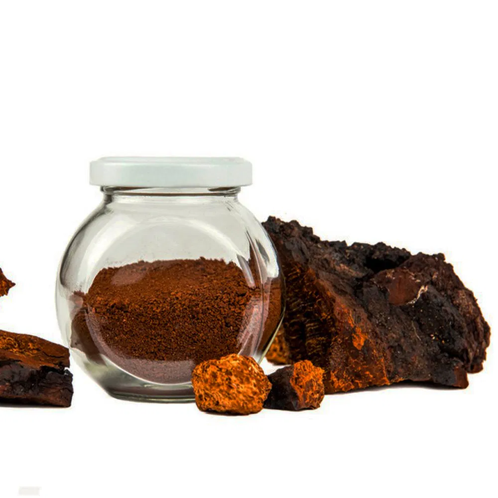 Natural Chaga Mushroom Extract Powder Premium Grade