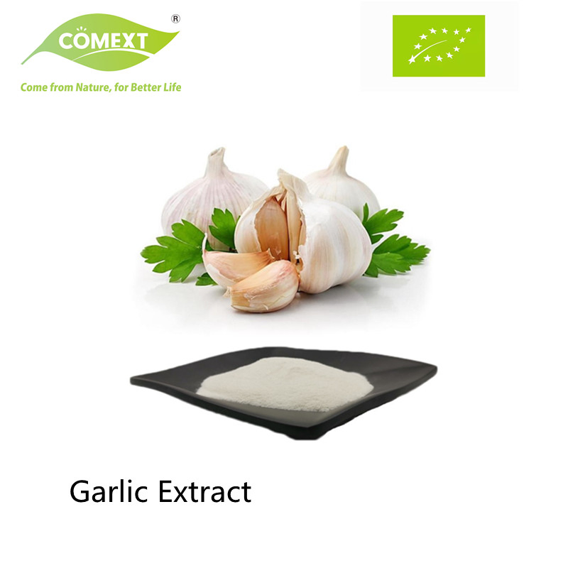 Comext Herbal Extract Factory Supply Bulk Garlic Extract Alliin 1% Pure Allicin Extract