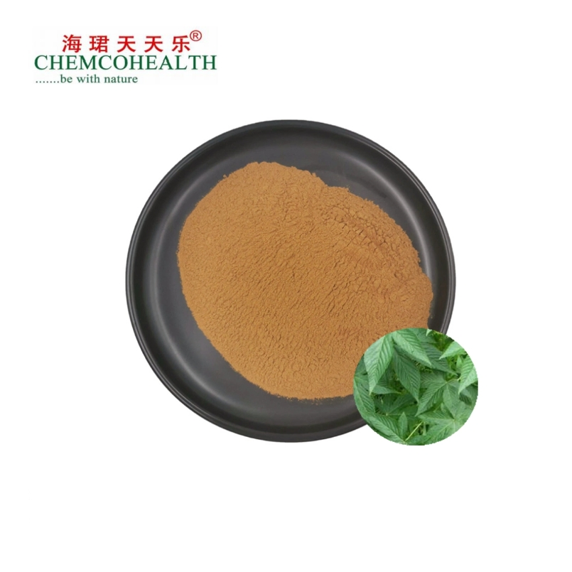 100% Natural Herbal Extracts with Various Concentrations of Polyphenols Sweet Tea Extract