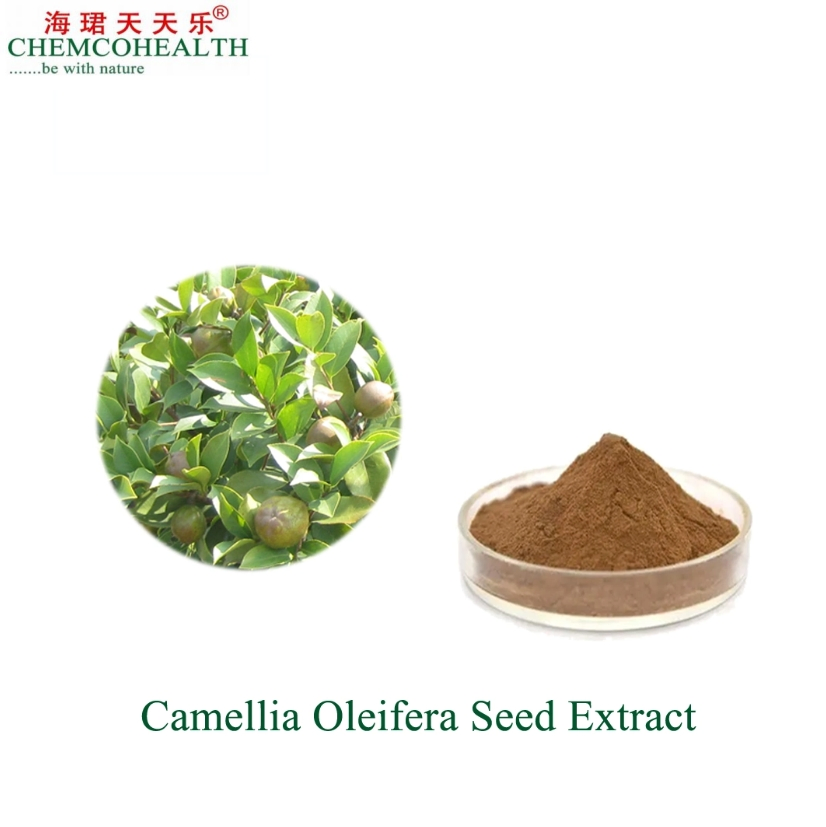 Natural Herbal Camellia Seed Extract High Content of Tea Saponin