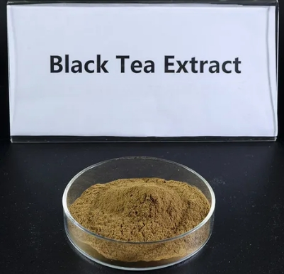 Natural Pure Camellia Sinensis O. Ktze. Instant Black Tea Powder Brown Red Powder Herbal Extract Plant Extract