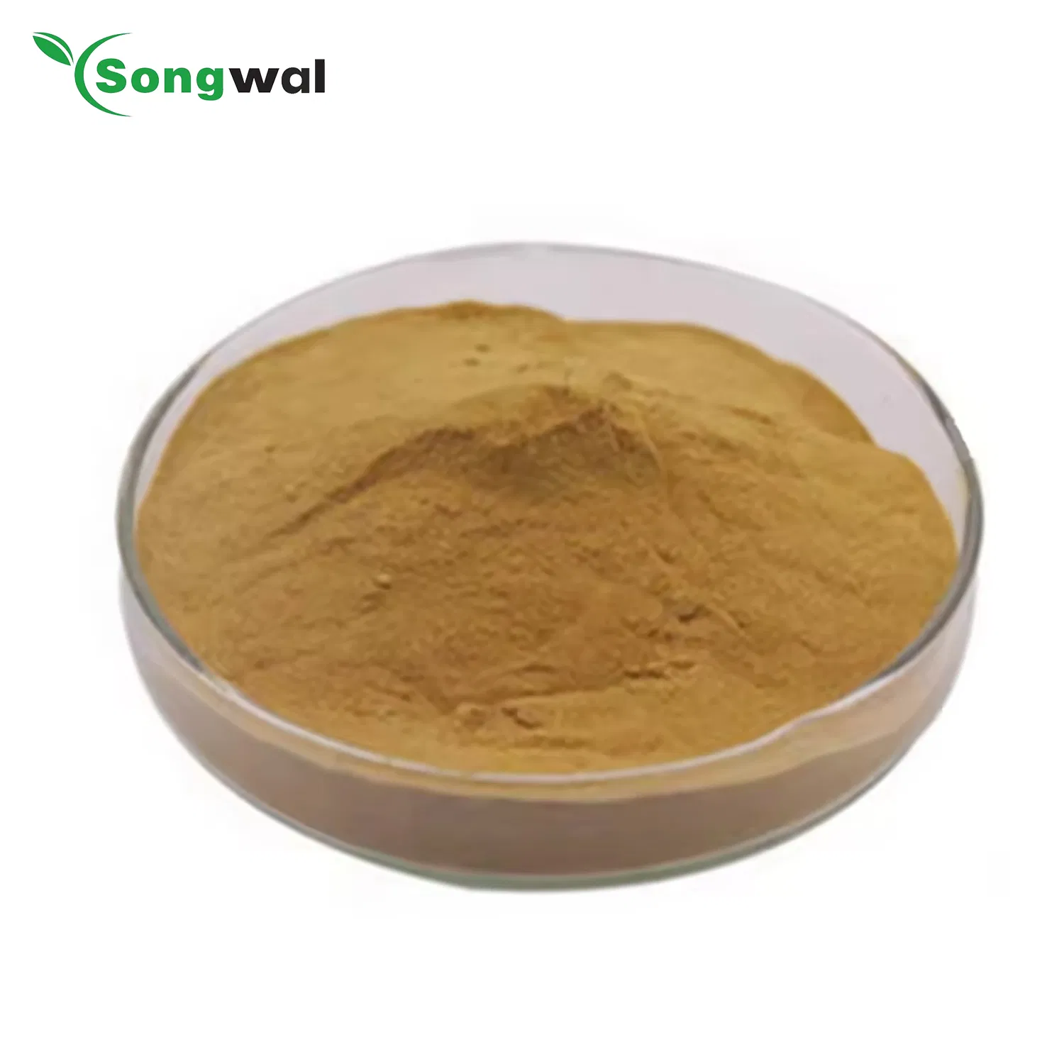 CE Food Additives Manufacturer High Quality 10: 1 Thyme Leaf Thymus Extract Powder