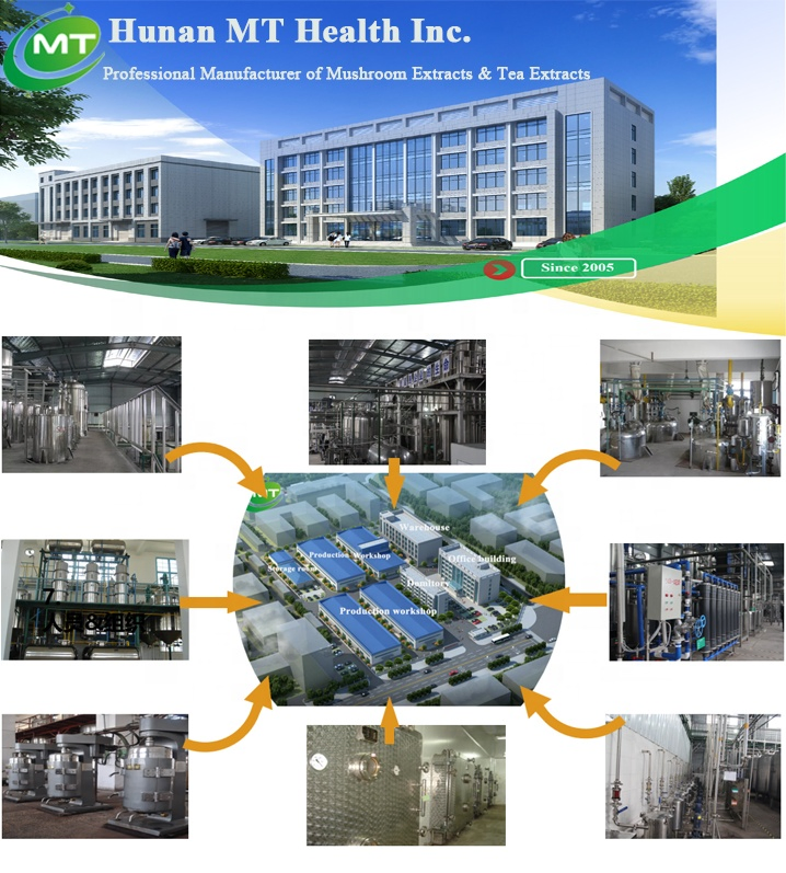 Bulk Solvent Extracted Horny Goat Plant Extract Food Grade Epimedium Extract