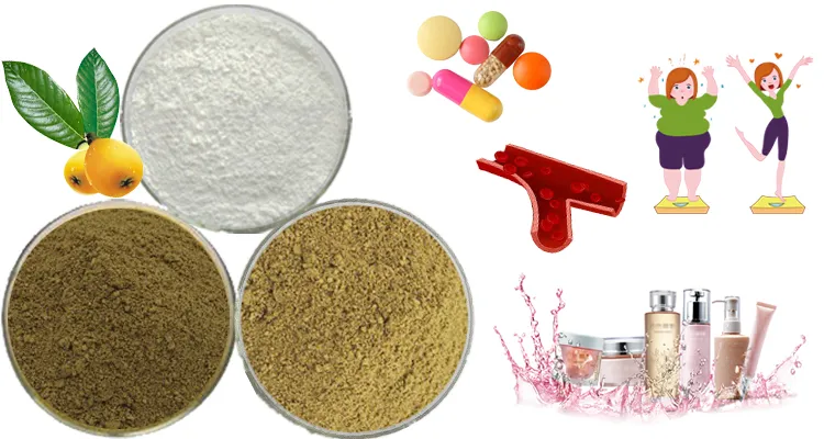 Ursolic Acid Powder