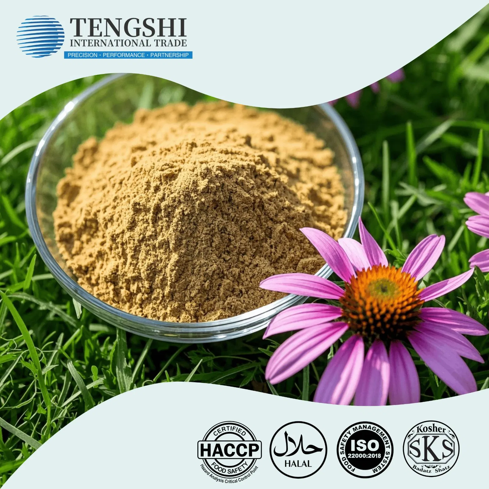 Standardized 1%-4% Cichoric Acid Echinacea Purpurea Extract UV HPLC Verified