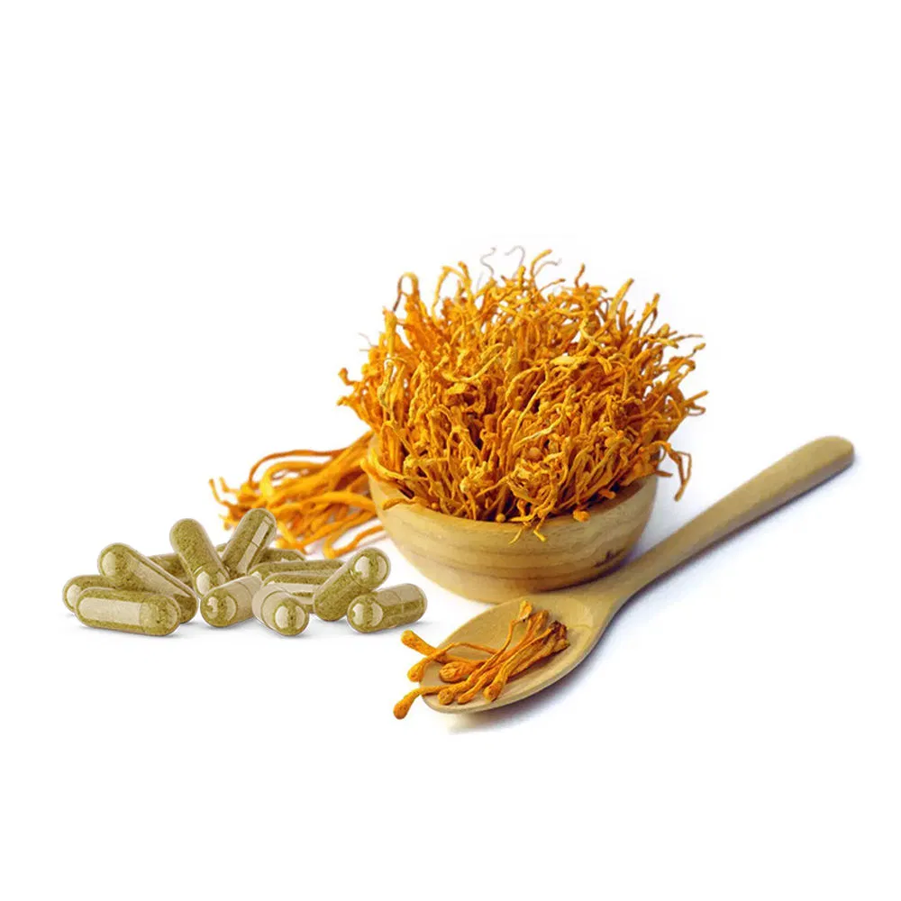 OEM Herbal Supplements Cordyceps Extract Capsules Cordyceps Sinensis Powder Mushroom Extract