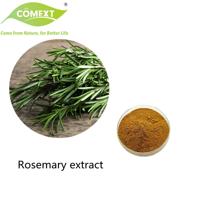 Comext China Manufacturer Wholesale Food Grade Natural Plant Herb Extract Carnosic Acid Powder Inventory USA Warehouse Rosemary Extract