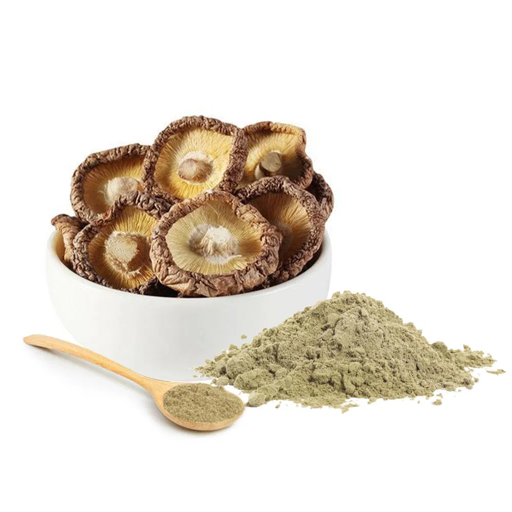 Best Selling Superior Qualityfood Grade Extraction Shitake Mushroom Extract