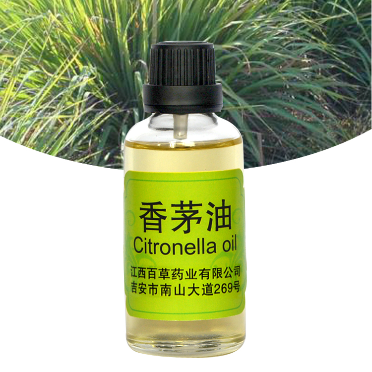 Herbal Essential Oil Citronella Essential Oil