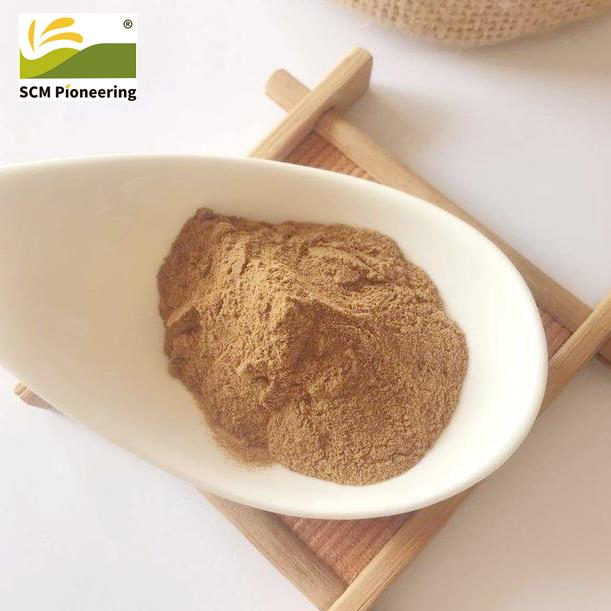 Competitive Price Gentian Root Extract Powder MOQ 1kg for Healthcare Supplements