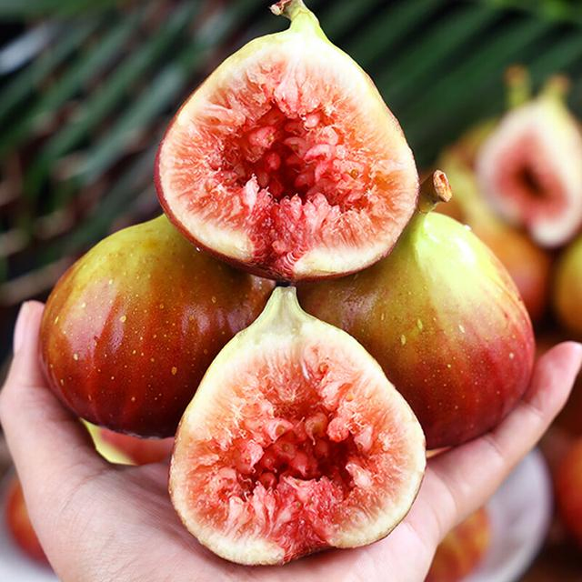 Best Price High Quality Wild Fig Extract Ficus Carica Extract 4: 1 10: 1 Water Soluble