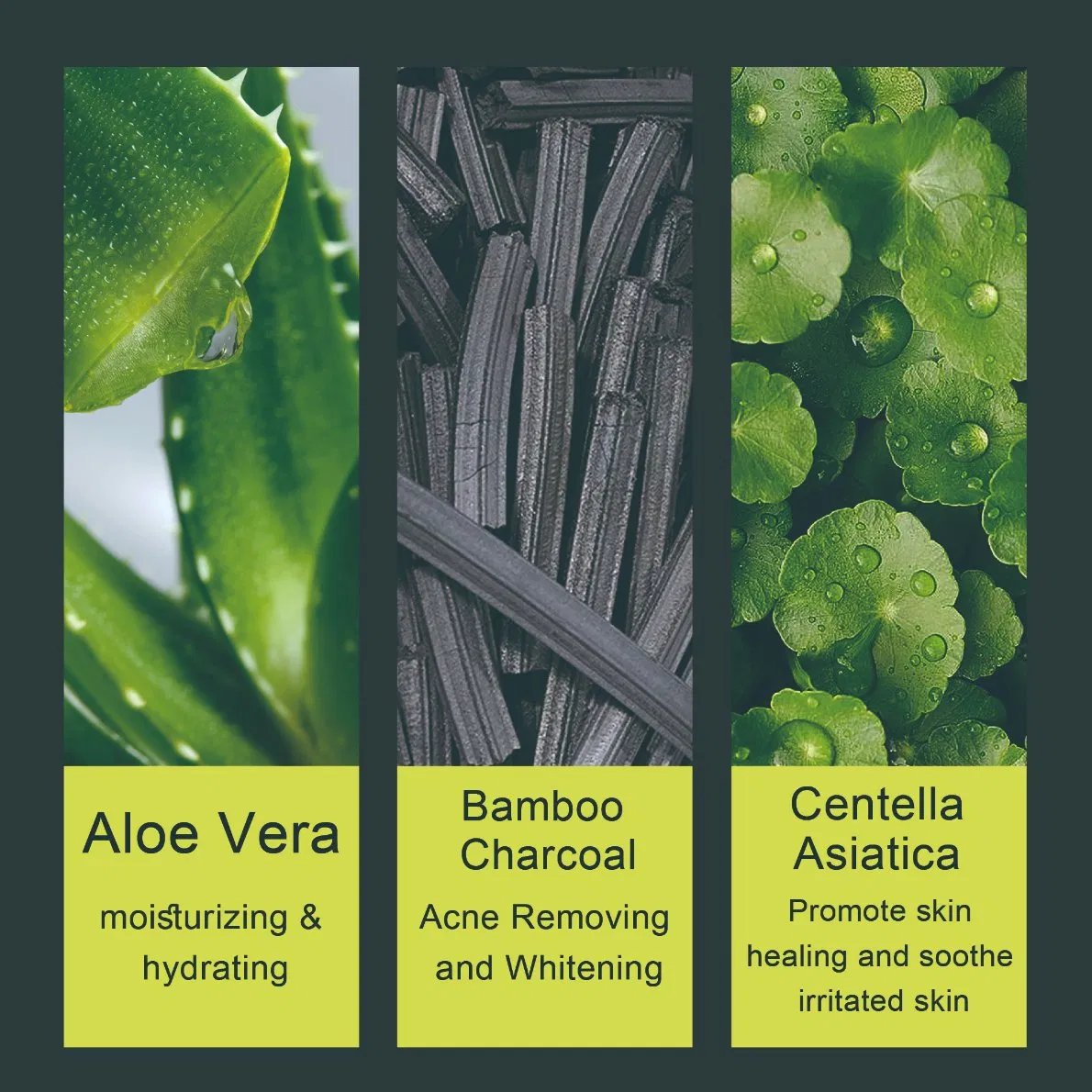 OEM Herbal Gift Box for Men Beard Smooth Oil Control Growth Essential Oils Charcoal Beard Balm