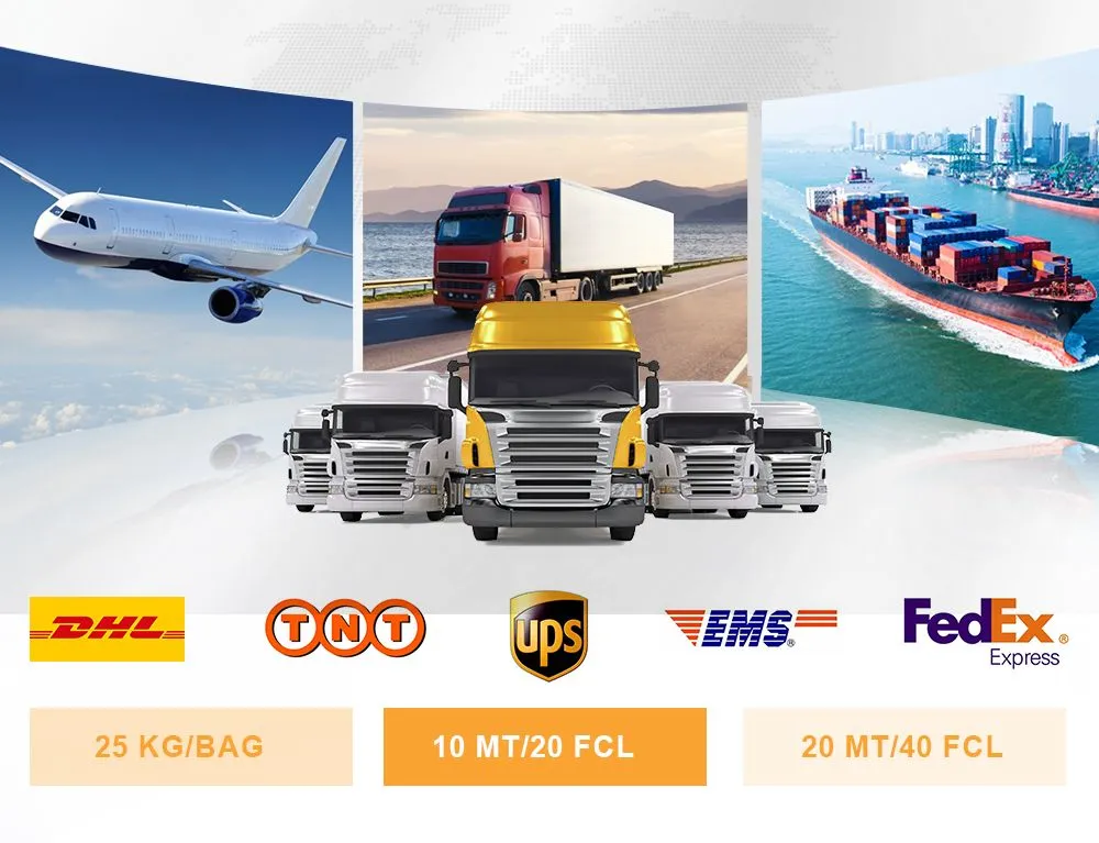 Packaging and Logistics