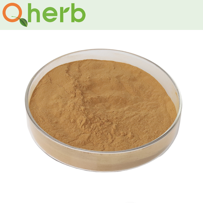 10% Andrographolide Andrographis Paniculate Extract