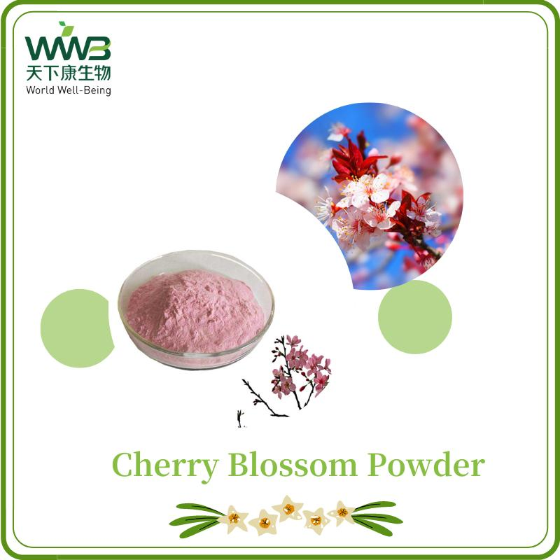 World Well-Being Plant Extract/Soft Drink/Extract Powder/99% Cherry Blossom Juice Powder/Cherry Blossoms Powder/Sakura Cherry Blossom Powder