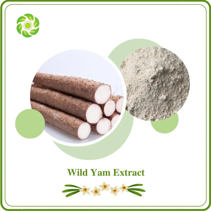 Wild Yam Extract