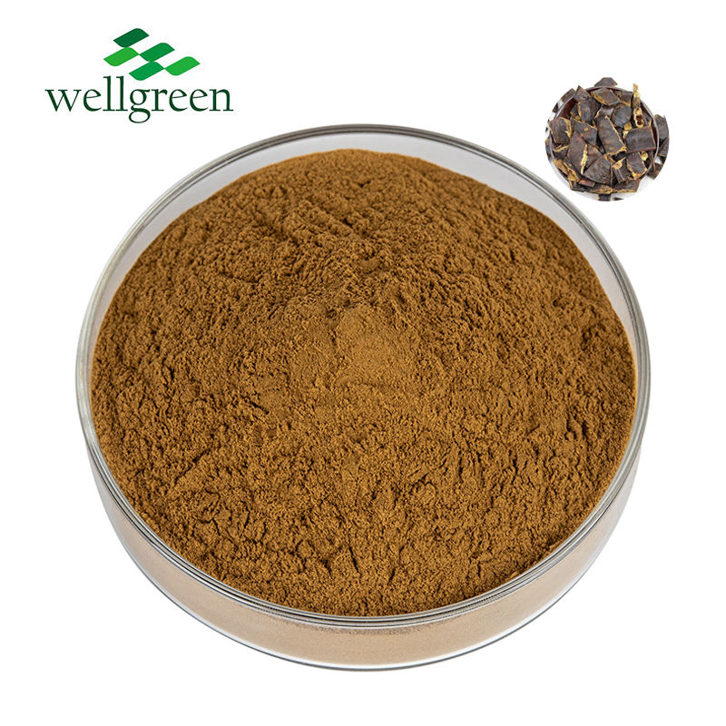 Top Quality Quillaja Saponaria Bark Extract 80% Quillaja Saponin Soapbark Extract