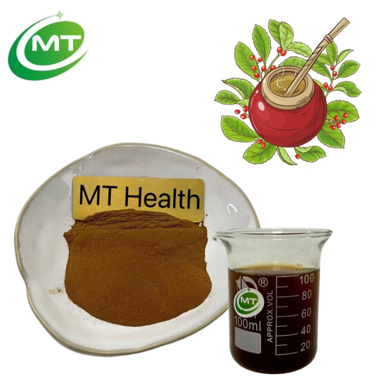 Natural GMO Free Herbal Supplement Ingredient Dietary Supplement Tea Extract Yerba Mate Extract