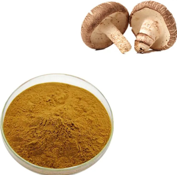 Shiitake Extract Powder with Polysaccharides Lentinus Edodes Polysaccharides Quality Natural Plant Organic 10: 1 20: 1 Shiitake Mushroom Extract Powder