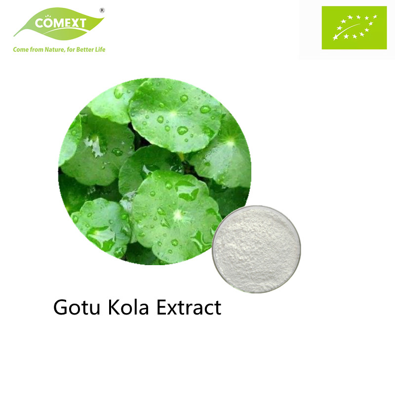 Comext Plant Extract Herbal Extract Cosmetics Ingredients Gotu Kola Asiatic Acid Centella Asiatica Extract Triterpenoid Glycosides Powder