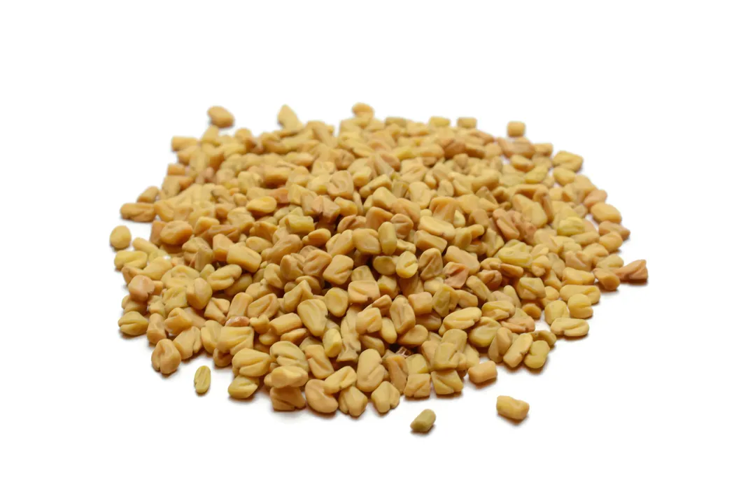 Fenugreek Extract Description