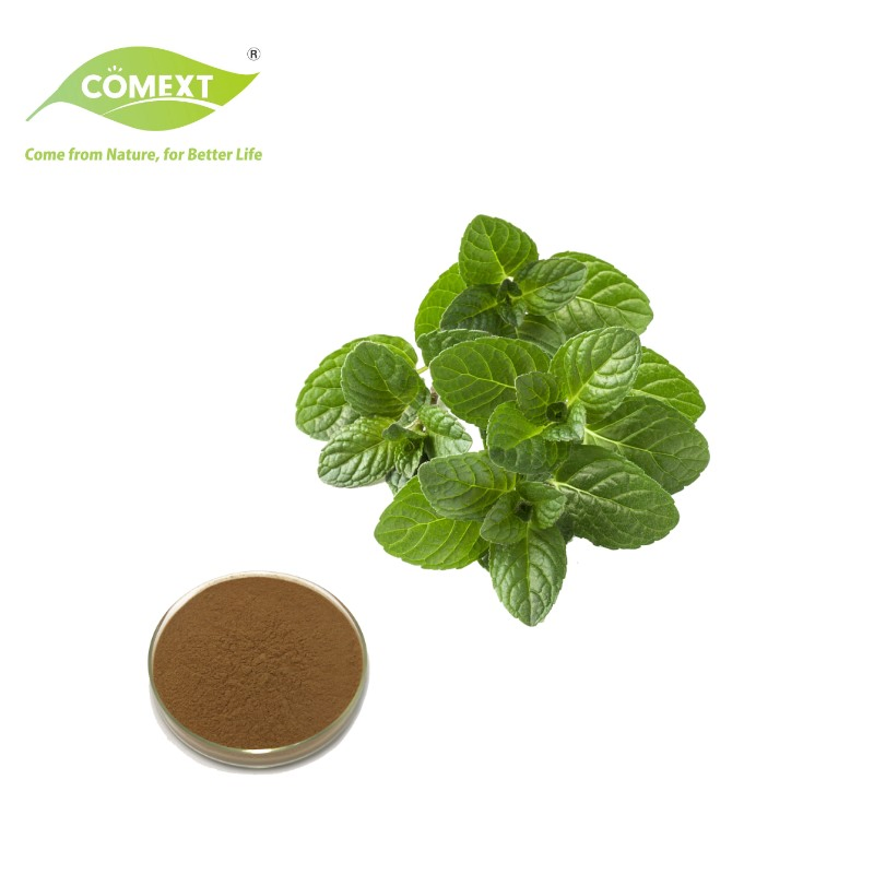 Comext Water Soluble Dry Natural Herbal Powder Leaf 10: 1 Peppermint Extract